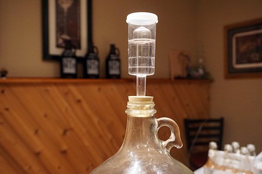 A three piece airlock on a one gallon carboy