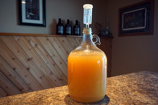 One gallon of cider in a glass carboy with an airlock fitted on top