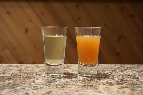 two samples of cider, one fresh cloudy sweet cider and one light clear hard cider