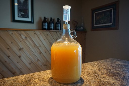 Fermenting store bought apple juice one gallon carboy filled with apple juice that is fermenting and has a krausen foam layer on top