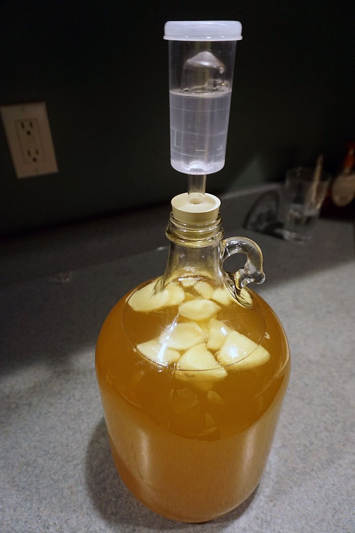 One gallon batch of hard cider fermenting a carboy and airlock with fermenting hard cider