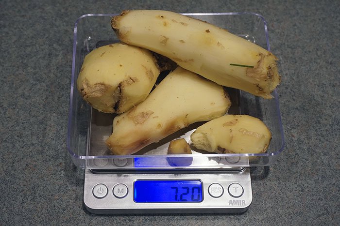 ginger root on a digital scale for a ginger beer recipe