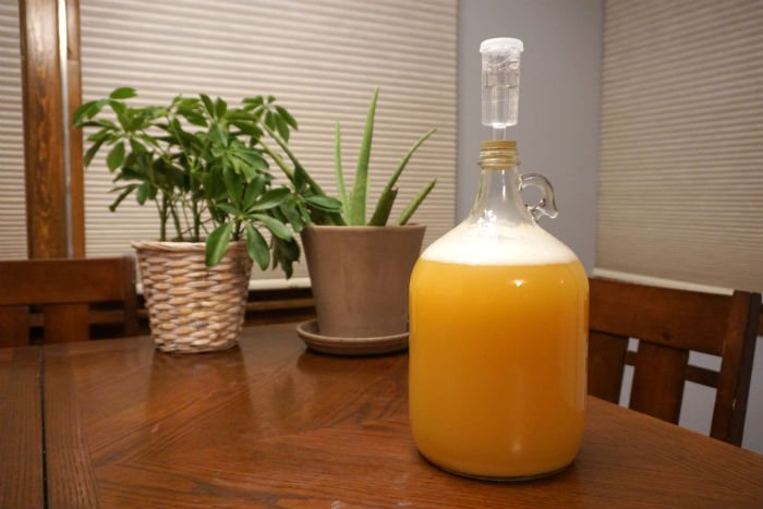a gallon glass jar filled with apple and pineapple juice that is fermenting