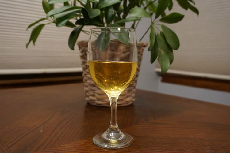 A glass of citra hopped cider A glass of bubbly citra hopped hard cider with a plant in the background