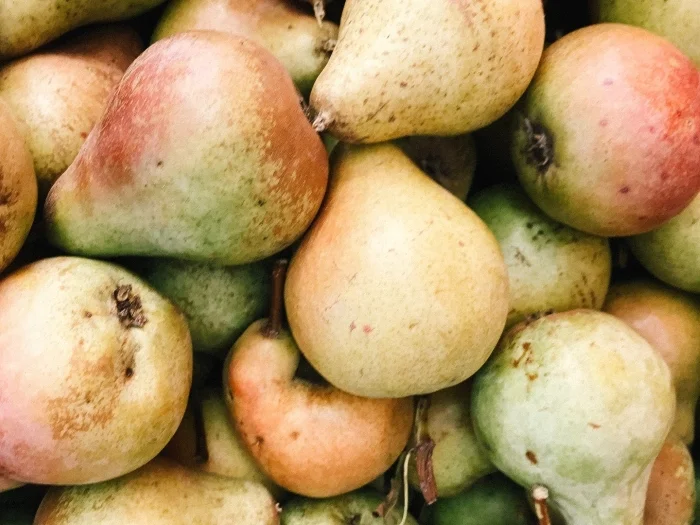 fresh fruit pears in a pile